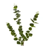 GloboStar® Artificial Garden EUCALYPTUS BRANCH 20484 Τεχνητό Διακοσμητικό Κλαδί Ευκάλυπτου Πράσινο Π30 x Μ30 x Υ80m - Image 2
