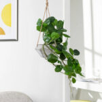 GloboStar® Artificial Garden HANGING PEPEROMIA 20599 Τεχνητό Διακοσμητικό Κρεμαστό Φυτό Πεπερόμια Μ30 x Π31 x Υ50cm - Image 7