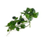 GloboStar® Artificial Garden HANGING PEPEROMIA 20599 Τεχνητό Διακοσμητικό Κρεμαστό Φυτό Πεπερόμια Μ30 x Π31 x Υ50cm - Image 2