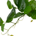 GloboStar® Artificial Garden HANGING PEPEROMIA 20599 Τεχνητό Διακοσμητικό Κρεμαστό Φυτό Πεπερόμια Μ30 x Π31 x Υ50cm - Image 4