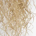 GLOBOSTAR® PLUVIA 205-0082 Boho Κρεμαστό Φωτιστικό Οροφής με Ντουί 1 x E27 AC 220-240V IP20 - Μπεζ - M30 x Π30 x Υ70cm - Image 7