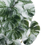 GloboStar® Artificial Garden ALBINO MONSTERA HANGING PLANT 20609 - Τεχνητό Διακοσμητικό Κρεμαστό Φυτό Μονστέρα Υ45cm - Image 2