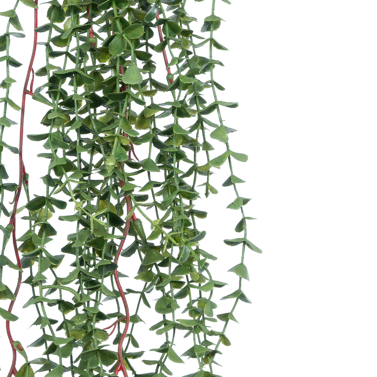 GloboStar® Artificial Garden EUCALYPTUS HANGING PLANT 20618 Τεχνητό Διακοσμητικό Κρεμαστό Φυτό Ευκάλυπτος Υ130cm - Image 2