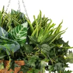 GloboStar® Artificial Garden VARIOUS HANGING PLANT 20623 Τεχνητό Κρεμαστό Διακοσμητικό Φυτό Φτέρης Π60 x Μ60 x Y70cm - Image 4