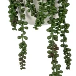 GloboStar® Artificial Garden HANGING LOVER'S TEARS 20628 - Τεχνητό Κρεμαστό Διακοσμητικό Φυτό Lover's Tears Μ16 x Π16 x Y50cm - Image 4