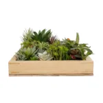 GloboStar® Artificial Garden VARIOUS PLANT 20642 Τεχνητό Διακοσμητικό Φυλλωσιάς σε Ξύλινο Πάνελ  - Κάθετος Κήπος Μιξ Μ60 x Π60 x Υ20cm - Image 3