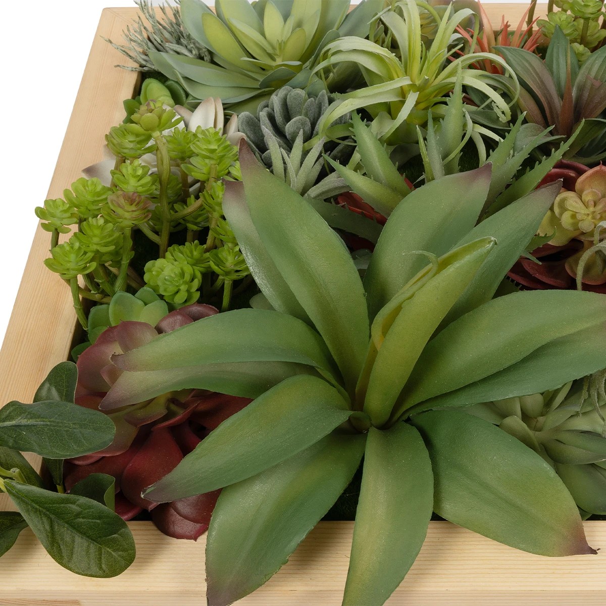 GloboStar® Artificial Garden VARIOUS PLANT 20642 Τεχνητό Διακοσμητικό Φυλλωσιάς σε Ξύλινο Πάνελ - Κάθετος Κήπος Μιξ Μ60 x Π60 x Υ20cm - Image 5