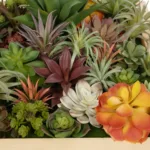 GloboStar® Artificial Garden VARIOUS PLANT 20642 Τεχνητό Διακοσμητικό Φυλλωσιάς σε Ξύλινο Πάνελ  - Κάθετος Κήπος Μιξ Μ60 x Π60 x Υ20cm - Image 6