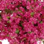 GloboStar® Artificial Garden BOUGAINVILLEA BLOSSOM 20672 Τεχνητό Διακοσμητικό Δέντρο Άνθος Μπουκαμβίλιας Μ230 x Π100 x Υ250cm - Image 2