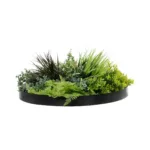 GloboStar® Artificial Garden VARIOUS PLANTS ROUND WALL DISC 20688 Τεχνητό Διακοσμητικό Στρογγυλό Πάνελ Φυλλωσιάς - Κάθετος Κήπος Μιξ Μ50 x Π50 x Υ23cm - Image 2