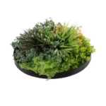 GloboStar® Artificial Garden VARIOUS PLANTS ROUND WALL DISC 20688 Τεχνητό Διακοσμητικό Στρογγυλό Πάνελ Φυλλωσιάς - Κάθετος Κήπος Μιξ Μ50 x Π50 x Υ23cm - Image 4