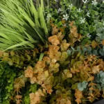 GloboStar® Artificial Garden VARIOUS PLANTS ROUND WALL DISC 20688 Τεχνητό Διακοσμητικό Στρογγυλό Πάνελ Φυλλωσιάς - Κάθετος Κήπος Μιξ Μ50 x Π50 x Υ23cm - Image 5