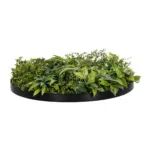GloboStar® Artificial Garden VARIOUS PLANTS ROUND WALL DISC 20689 Τεχνητό Διακοσμητικό Στρογγυλό Πάνελ Φυλλωσιάς - Κάθετος Κήπος Μιξ Μ70 x Π70 x Υ15cm - Image 2