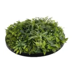 GloboStar® Artificial Garden VARIOUS PLANTS ROUND WALL DISC 20689 Τεχνητό Διακοσμητικό Στρογγυλό Πάνελ Φυλλωσιάς - Κάθετος Κήπος Μιξ Μ70 x Π70 x Υ15cm - Image 4