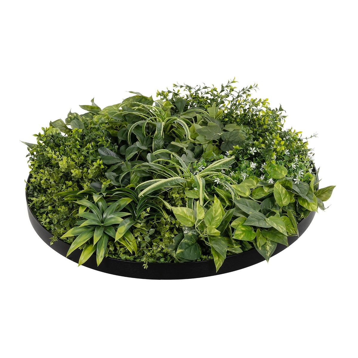 GloboStar® Artificial Garden VARIOUS PLANTS ROUND WALL DISC 20689 Τεχνητό Διακοσμητικό Στρογγυλό Πάνελ Φυλλωσιάς - Κάθετος Κήπος Μιξ Μ70 x Π70 x Υ15cm - Image 4