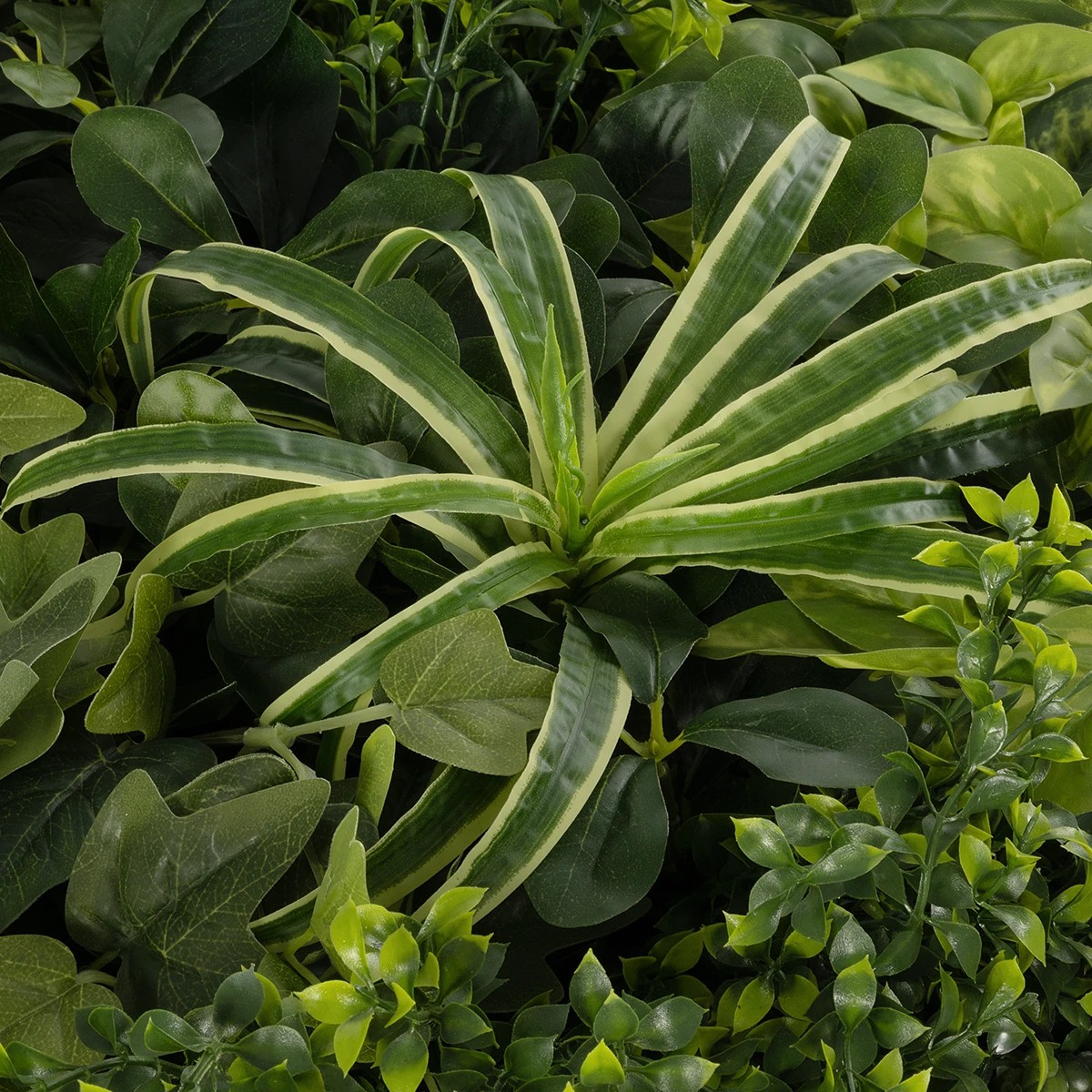 GloboStar® Artificial Garden VARIOUS PLANTS ROUND WALL DISC 20689 Τεχνητό Διακοσμητικό Στρογγυλό Πάνελ Φυλλωσιάς - Κάθετος Κήπος Μιξ Μ70 x Π70 x Υ15cm - Image 5