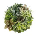 GloboStar® Artificial Garden VARIOUS PLANTS ROUND WALL DISC 20691 Τεχνητό Διακοσμητικό Στρογγυλό Πάνελ Φυλλωσιάς - Κάθετος Κήπος Μιξ Μ60 x Π60 x Υ20cm