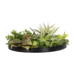 GloboStar® Artificial Garden VARIOUS PLANTS ROUND WALL DISC 20691 Τεχνητό Διακοσμητικό Στρογγυλό Πάνελ Φυλλωσιάς - Κάθετος Κήπος Μιξ Μ60 x Π60 x Υ20cm - Image 2