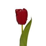GloboStar® Artificial Garden RED TULIP BRANCH 21203 Τεχνητό Διακοσμητικό Κλαδί Κόκκινη Τουλίπα Y37cm - Image 2