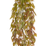 GloboStar® Artificial Garden HANGING LIMA BEAN 20844 Τεχνητό Διακοσμητικό Κρεμαστό Φυτό Φασόλι Λίμα Μ29 x Π10 x Υ86cm - Image 2