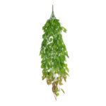 GloboStar® Artificial Garden HANGING LIMA BEAN 20846 Τεχνητό Διακοσμητικό Κρεμαστό Φυτό Φασόλι Λίμα Μ29 x Π10 x Υ86cm