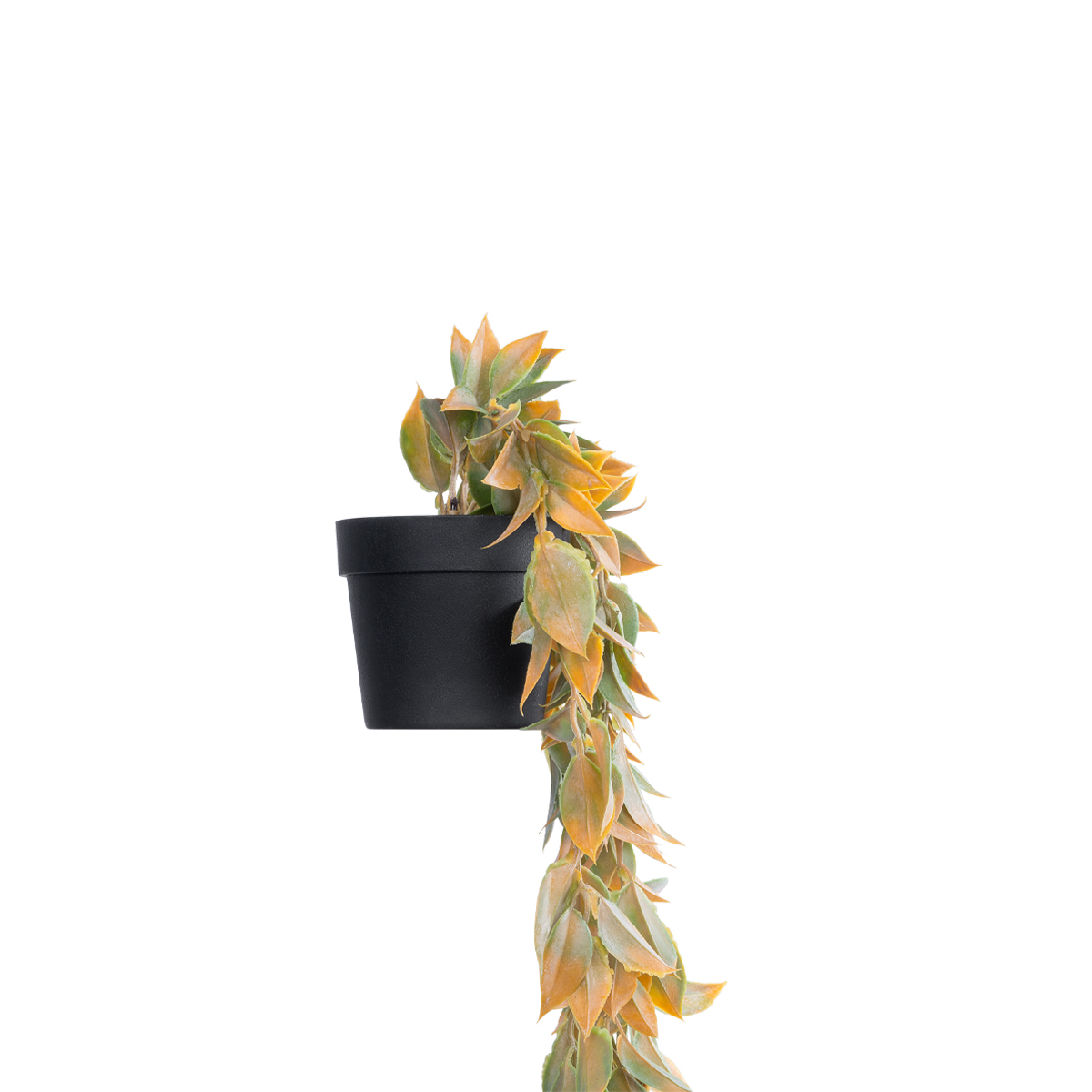 GloboStar® Artificial Garden HANGING POMELO LEAF 20871 - Τεχνητό Κρεμαστό Διακοσμητικό Φυτό Φύλλο Πομέλο Φ17 x Y50cm - Image 3