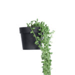 GloboStar® Artificial Garden HANGING LOVER'S TEARS 20882 - Τεχνητό Κρεμαστό Διακοσμητικό Φυτό Lover's Tears Φ15 x Y70cm - Image 3
