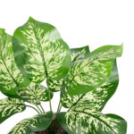 GloboStar® Artificial Garden DIEFFENBACHIA POTTED PLANT 20897 Διακοσμητικό Φυτό Διεφενμπάχια Φ40 x Υ33cm - Image 2