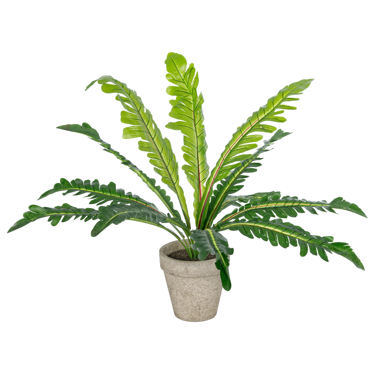 GloboStar® Artificial Garden ASPLENIUM POTTED PLANT 20904 Διακοσμητικό Φυτό Aslenium Φ40 x Υ33cm
