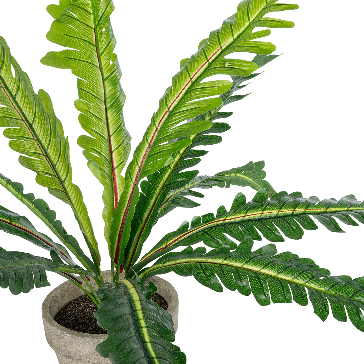 GloboStar® Artificial Garden ASPLENIUM POTTED PLANT 20904 Διακοσμητικό Φυτό Aslenium Φ40 x Υ33cm - Image 2