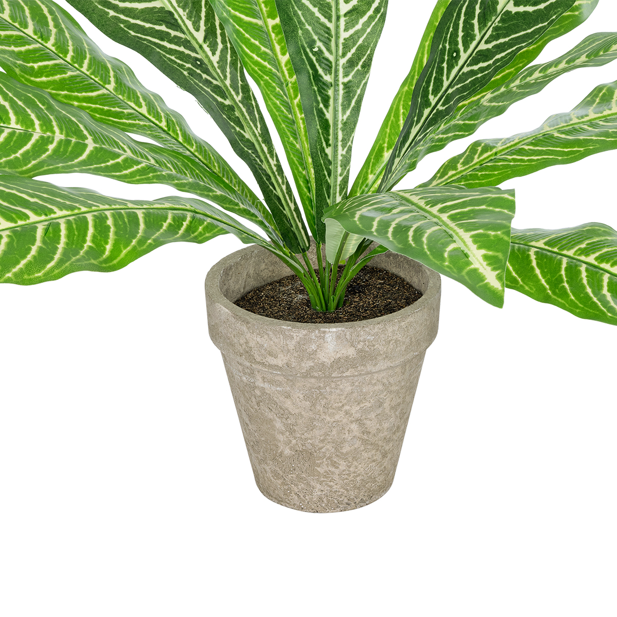 GloboStar® Artificial Garden ZEBRA POTTED PLANT 20906 Διακοσμητικό Φυτό Ζέμπρα Φ40 x Υ33cm - Image 3