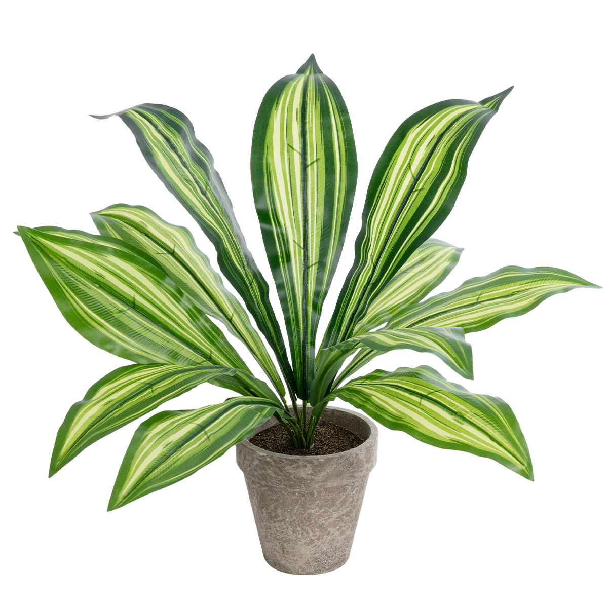 GloboStar® Artificial Garden DRACAENA POTTED PLANT 20907 Διακοσμητικό Φυτό Δράκενα Φ40 x Υ33cm