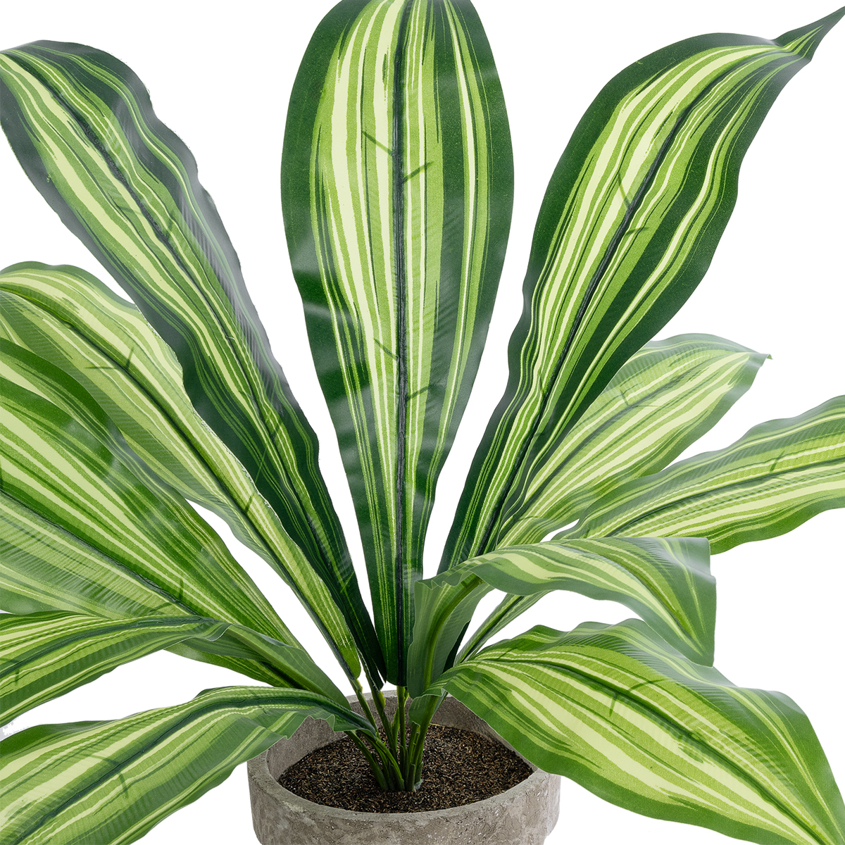 GloboStar® Artificial Garden DRACAENA POTTED PLANT 20907 Διακοσμητικό Φυτό Δράκενα Φ40 x Υ33cm - Image 2