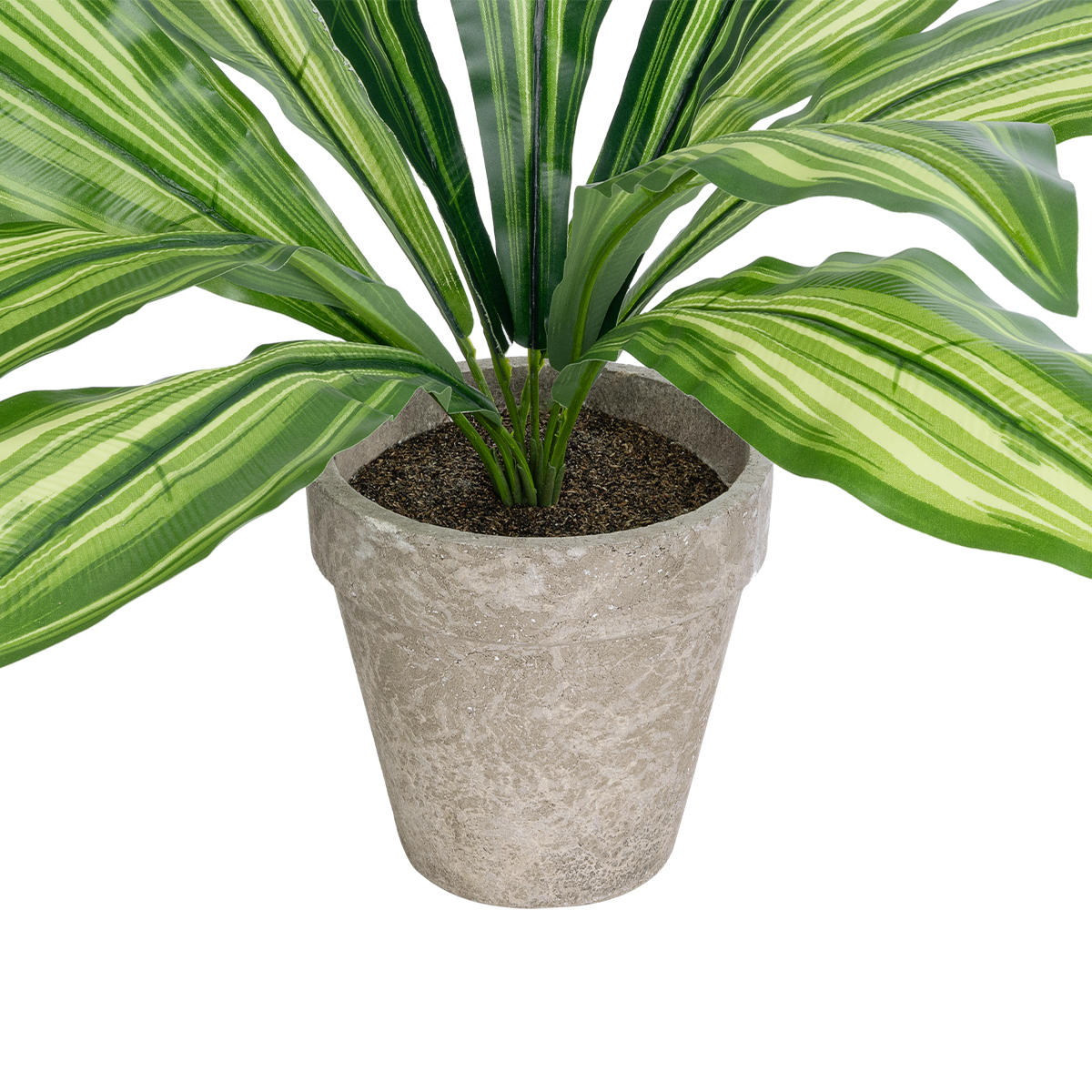 GloboStar® Artificial Garden DRACAENA POTTED PLANT 20907 Διακοσμητικό Φυτό Δράκενα Φ40 x Υ33cm - Image 3