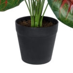 GloboStar® Artificial Garden CALADIUM MIX 20911 Διακοσμητικό Φυτό Καλάντιουμ Υ75cm - Image 3