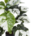 GloboStar® Artificial Garden ALBINO MONSTERA PLANT 20925 - Διακοσμητικό Φυτό Λευκή Μονστέρα Φ70 x Υ75cm - Image 2