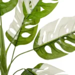 GloboStar® Artificial Garden ALBINO MONSTERA 20938 Τεχνητό Διακοσμητικό Φυτό Πράσινη & Λευκή Μονστέρα Μ90 x Π90 x Υ90cm - Image 2