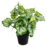 GloboStar® Artificial Garden BEGONIA PLANT 20958 Διακοσμητικό Φυτό Βιγόνια Φ47 x Υ22cm - Image 3