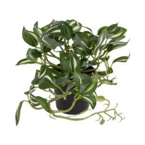 GloboStar® Artificial Garden ZEBRINA PLANT 20960 Διακοσμητικό Φυτό Ζεμπρίνα Φ45 x Υ22cm