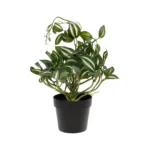 GloboStar® Artificial Garden ZEBRINA PLANT 20960 Διακοσμητικό Φυτό Ζεμπρίνα Φ45 x Υ22cm - Image 2