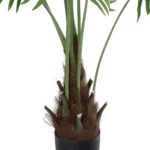 GloboStar® Artificial Garden SERENOA PALM PLANT 20972 Διακοσμητικό Φυτό Φοίνικα Σερενόα Φ103 x Υ180cm - Image 3