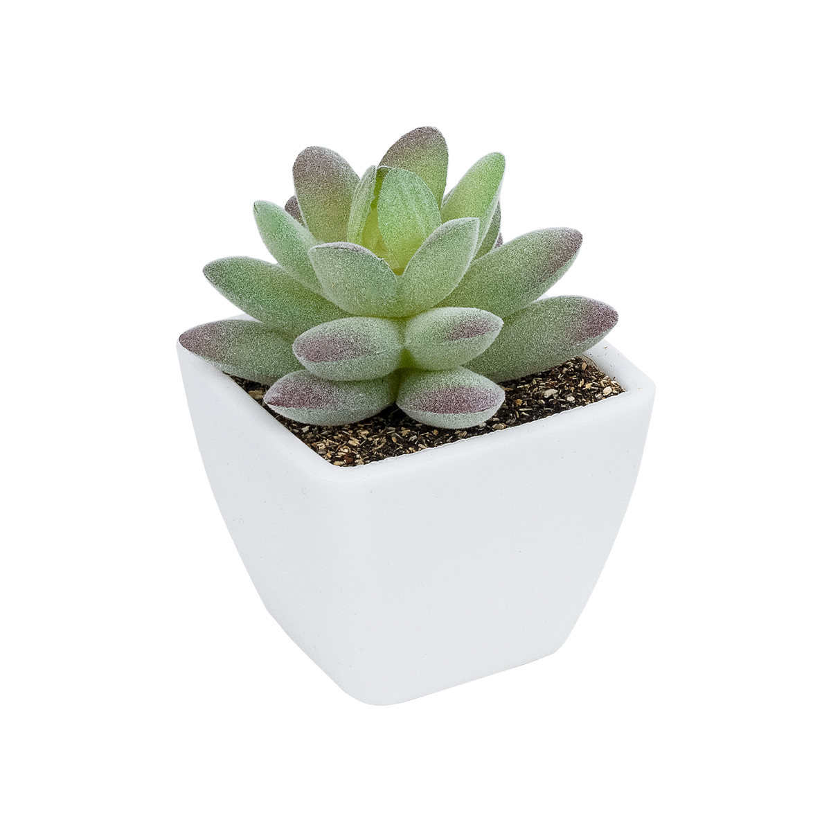 GloboStar® Artificial Garden SUCCULENT SEDEVERIA POTTED PLANT 20975 Διακοσμητικό Φυτό Φοίνικα Σερενόα Φ7 x Υ8cm