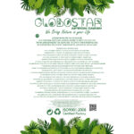 GloboStar® Artificial Garden SUCCULENT ALOE POTTED PLANT 20978 Διακοσμητικό Φυτό Αλόης Φ7 x Υ14cm - Image 3