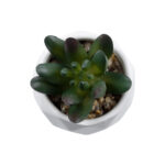 GloboStar® Artificial Garden SUCCULENT CRASSULA 20979 Διακοσμητικό Φυτό Παχύφυτο Κράσουλα Υ9cm - Image 2