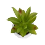 GloboStar® Artificial Garden SUCCULENT ALOE POTTED PLANT 20984 Διακοσμητικό Φυτό Αλόη Φ9 x Υ12cm - Image 2