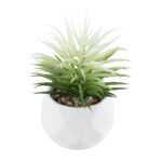 GloboStar® Artificial Garden SUCCULENT SENECIO 20997 Διακοσμητικό Φυτό Παχύφυτο Σενέκιο Υ12cm