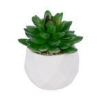 GloboStar® Artificial Garden SUCCULENT SEDEVERIA POTTED PLANT 21002 Διακοσμητικό Φυτό Σεδεβέρια  Φ8 x Υ9cm