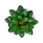 GloboStar® Artificial Garden SUCCULENT SEDEVERIA POTTED PLANT 21002 Διακοσμητικό Φυτό Σεδεβέρια  Φ8 x Υ9cm - Image 2