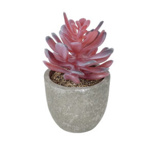 GloboStar® Artificial Garden SUCCULENT CRASSULA POTTED PLANT 21015 Διακοσμητικό Φυτό Κρασούλα  Φ7 x Υ11,5cm