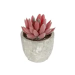 GloboStar® Artificial Garden SUCCULENT SEDEVERIA 21020 Τεχνητό Διακοσμητικό Φυτό Σεδεβέρια Μ6.5 x Π6.5 x Υ9cm
